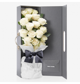 BB004 - Snow Mountain