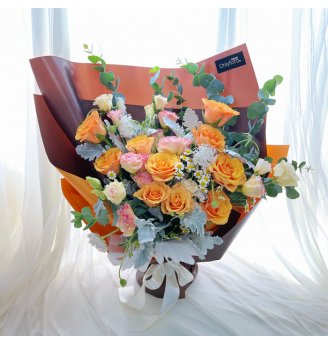HB071 - Elinie