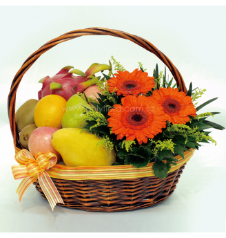 OFH02 - Vitamin Boost 