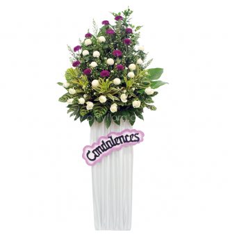CS009 - Comfort Gesture