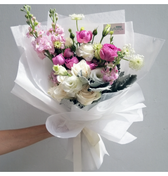 HB048 - Maliah