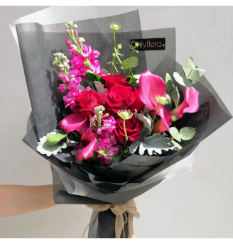 HB050 -  Gisele