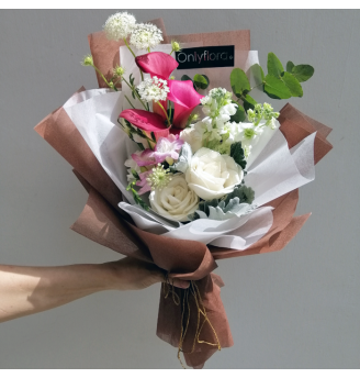 HB051 - Elise